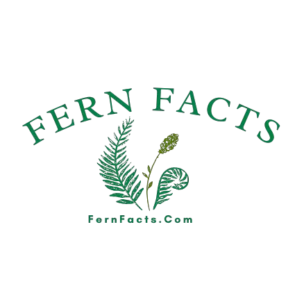 Fernfacts logo
