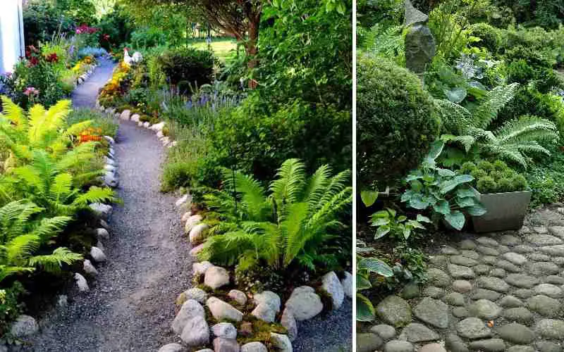 Fern Landscaping Ideas