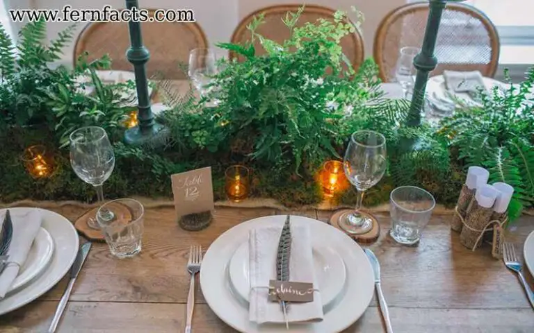 Best Way to Use Fern for Table Decorations