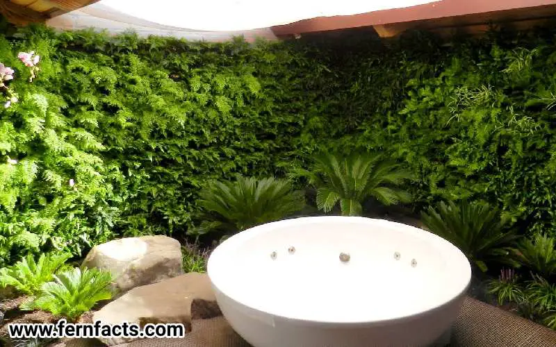 make your own living wall
